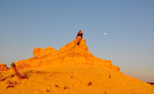 写真 明るい空を背景に黄色い葉の低角度の視点