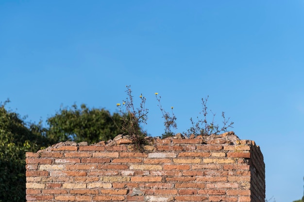 Foto vista a basso angolo del vecchio edificio contro il cielo blu