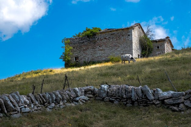 Low angle view of old ruins against sky