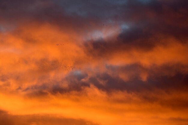 Low angle view of orange clouds in sky