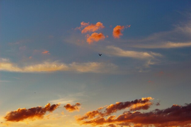 Photo low angle view of orange sky