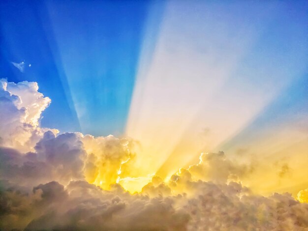 Foto vista a basso angolo del cielo arancione