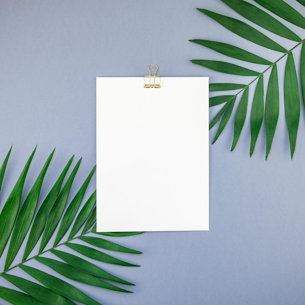 Low angle view of palm tree against white background