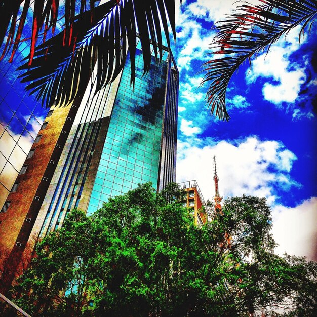 Photo low angle view of palm trees against blue sky