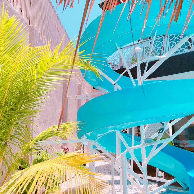 Photo low angle view of palm trees against building