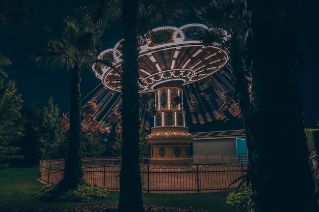 Photo low angle view of palm trees against sky at night