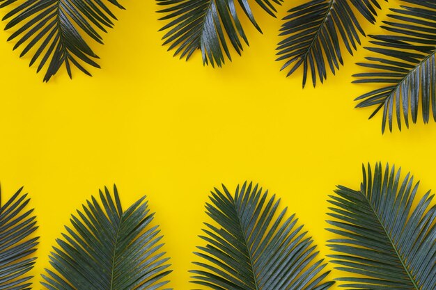 Low angle view of palm trees against sky