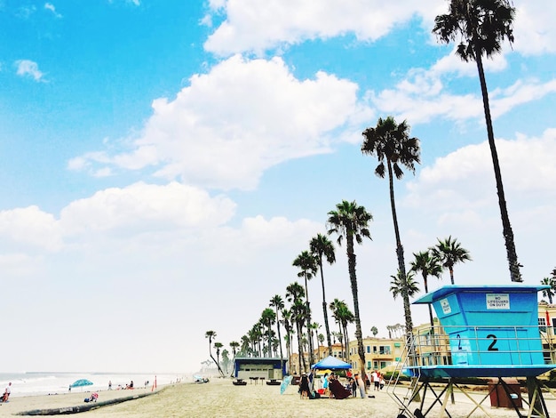 Low angle view of palm trees on beach