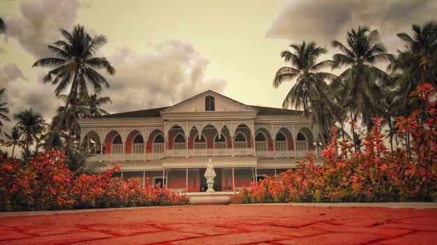 Low angle view of palm trees and building against sky