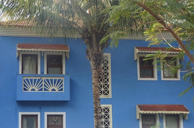 Photo low angle view of palm trees and building