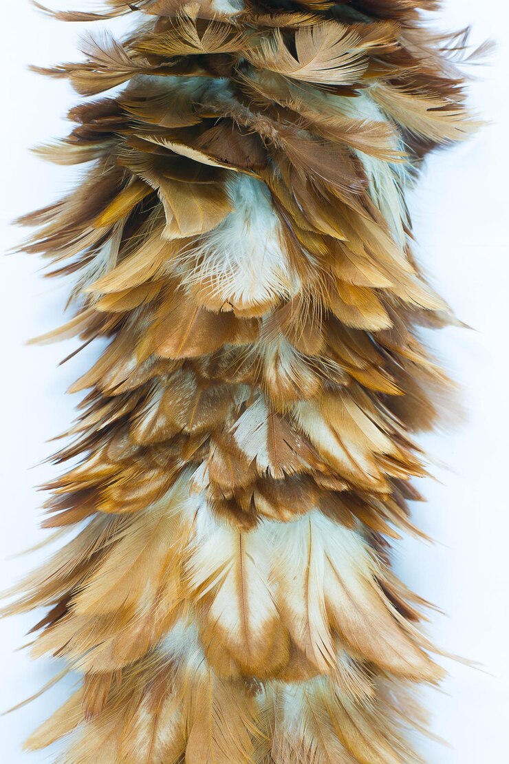 Photo low angle view of peacock against clear sky