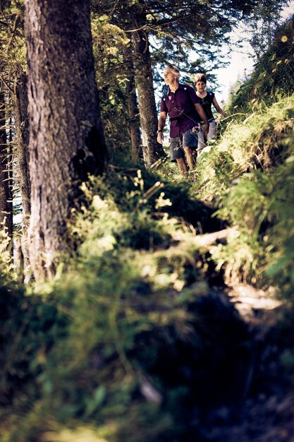 Foto vista a basso angolo delle persone nella foresta