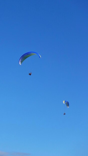 Low angle view of people paragliding against clear blue sky