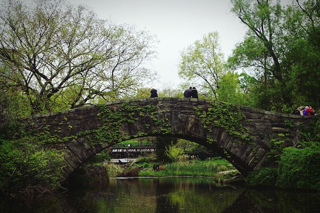 Photo low angle view of people relaxing arch bridge in park