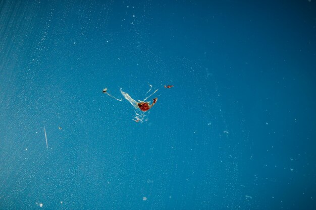 Photo low angle view of person paragliding over sea