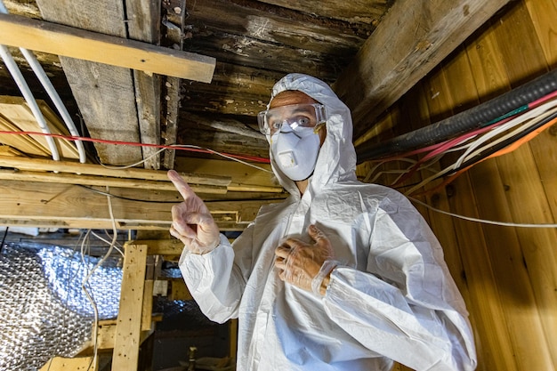 Photo low angle view of person working