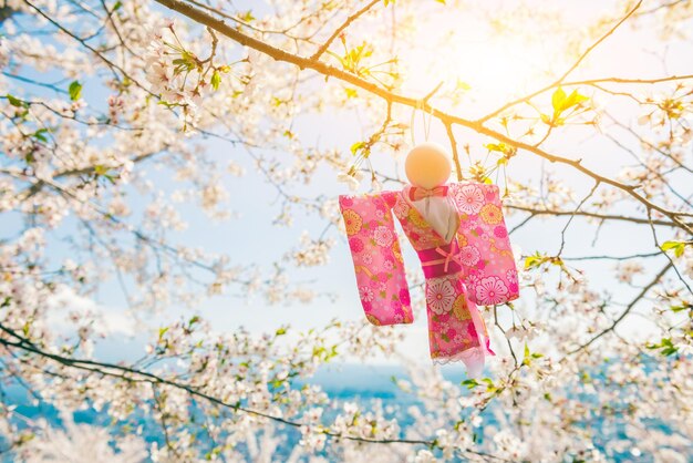 木のピンクの桜の低角度の景色