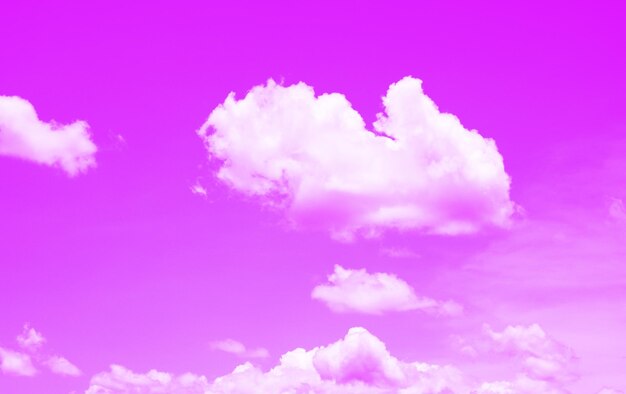 Low angle view of pink flowering plant against blue sky