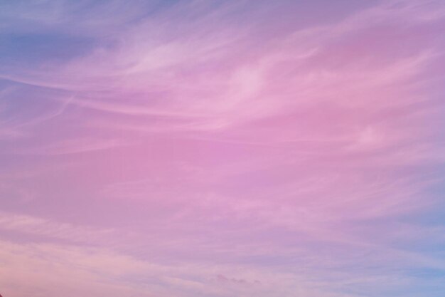 Foto vista a basso angolo del cielo rosa