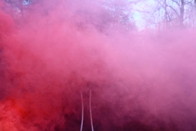 Foto vista a bassa angolazione del fumo rosa contro gli alberi