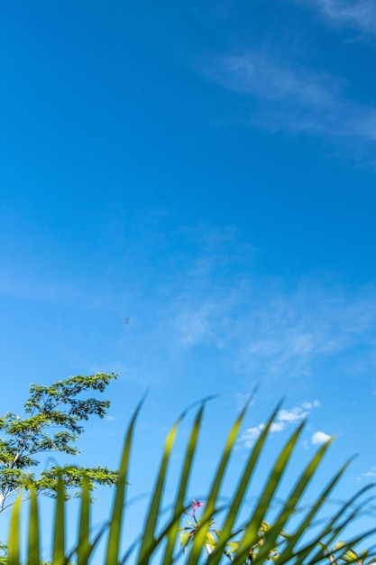 Foto vista a basso angolo dell'impianto contro il cielo blu