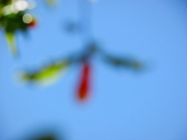 Low angle view of plant against clear blue sky