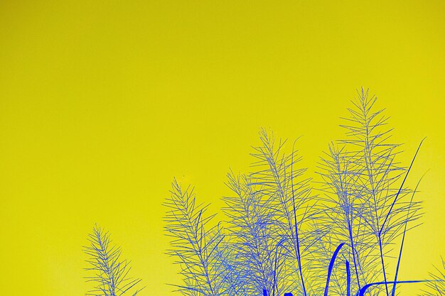 Low angle view of plant against yellow sky