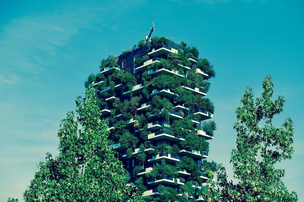 青い空を背景にした植物の低角度の眺め