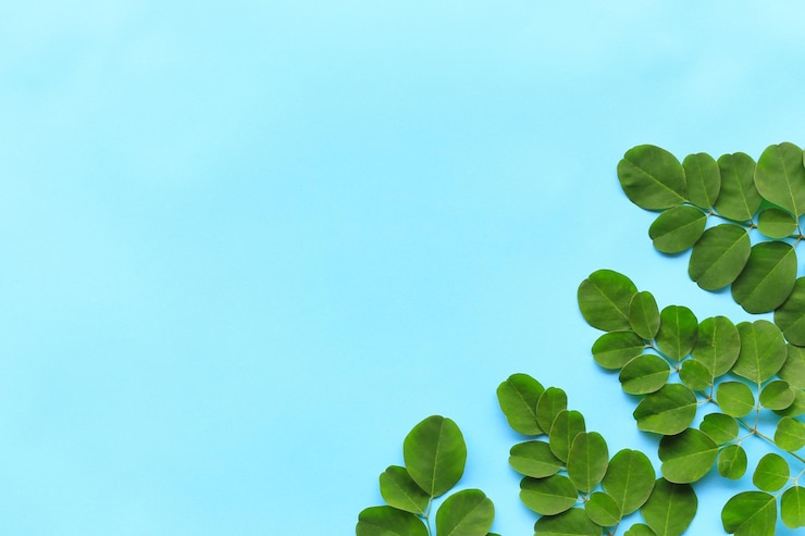 Photo 青い空を背景にした植物の低角度の眺め