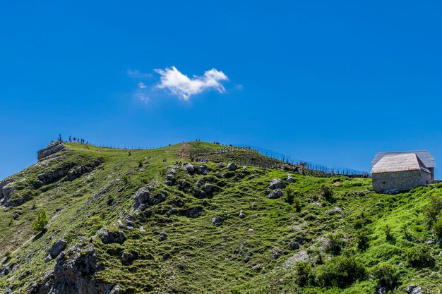 Low angle view of plants on land against blue sky