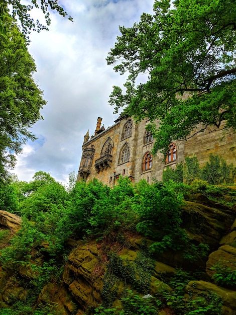 Low angle view of plants on rock against historic building and sky