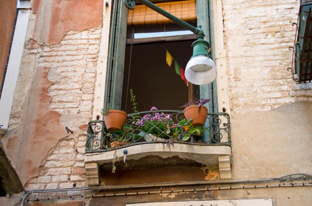 Photo low angle view of potted plants in balcony