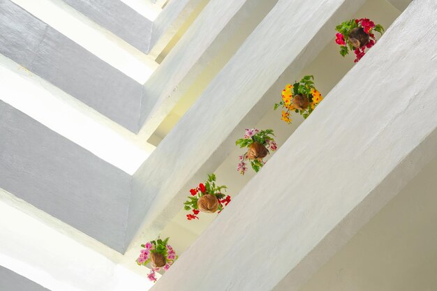 Low angle view of potted plants hanging in balcony
