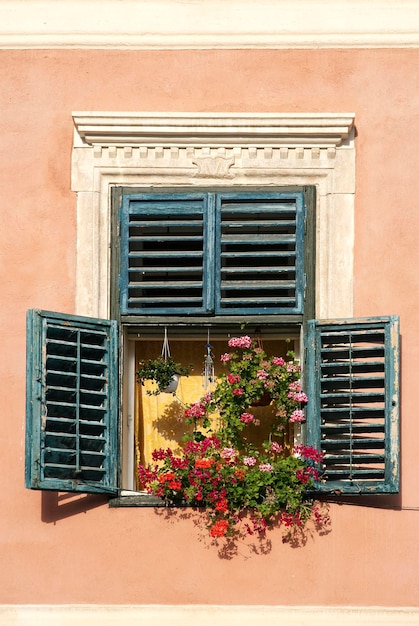 Low angle view of potted plants on window of building