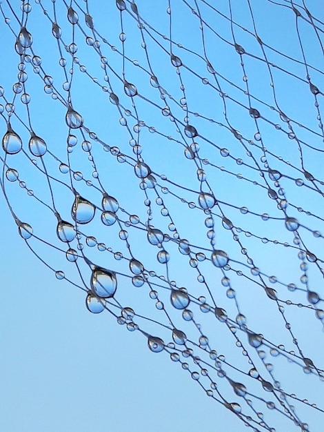 Foto vista a basso angolo delle linee elettriche contro il cielo blu