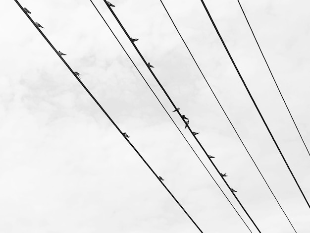 Photo low angle view of power lines against sky