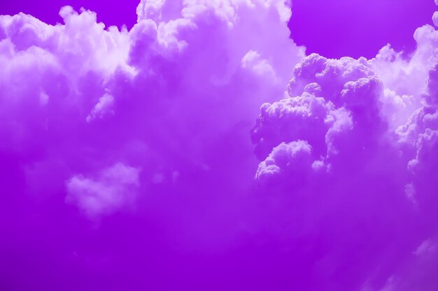 Low angle view of purple flowering plants against blue sky