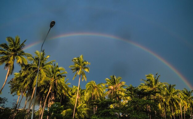 Low angle view of rainbow against sky