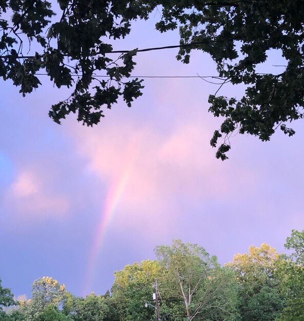 Low angle view of rainbow against sky