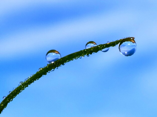 Photo low angle view of raindrops on blue sky