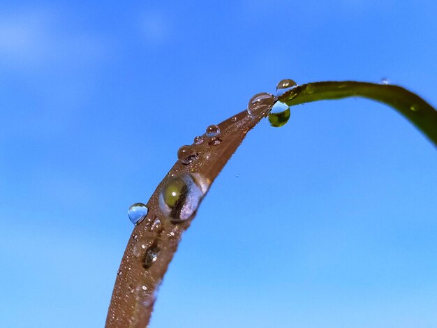 Low angle view of raindrops on blue sky