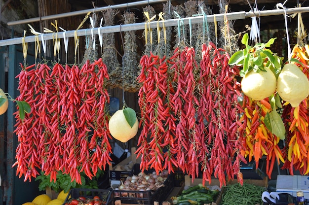 Low angle view of red chili peppers hanging on rack at market stall