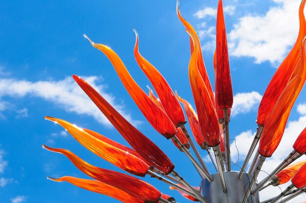 Low angle view of red flowering plant against sky