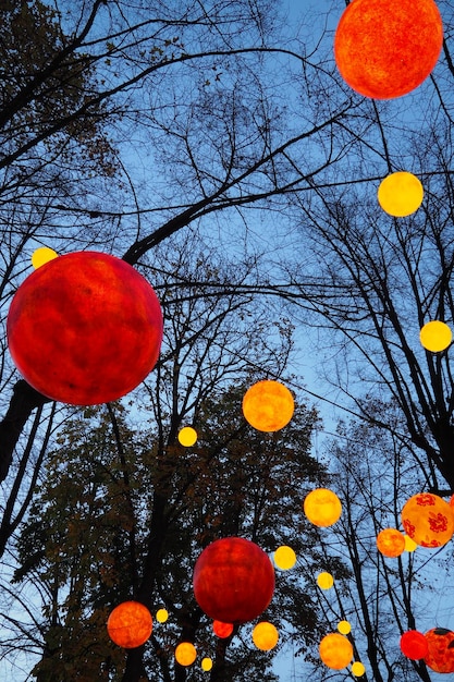 Photo low angle view of red flowers on tree