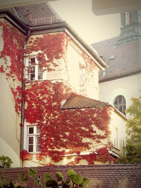 Low angle view of residential building