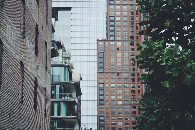 Low angle view of residential building