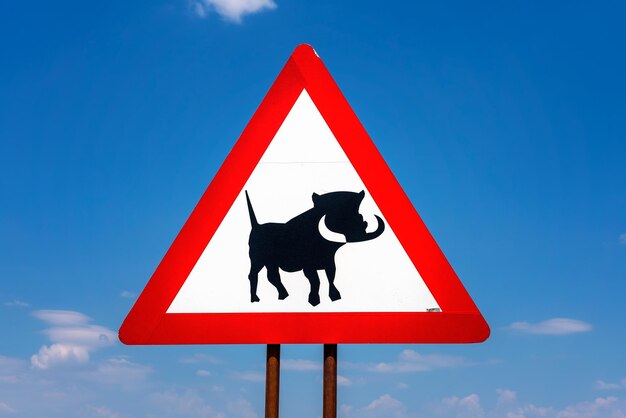 Photo low angle view of road sign against blue sky