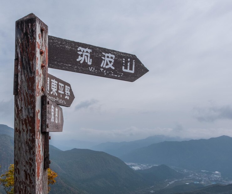 Photo 空に向かって道路標識の低角度のビュー