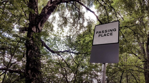 Low angle view of road sign against trees in forest