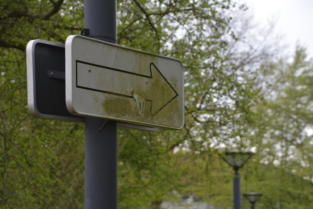 Low angle view of road sign against trees